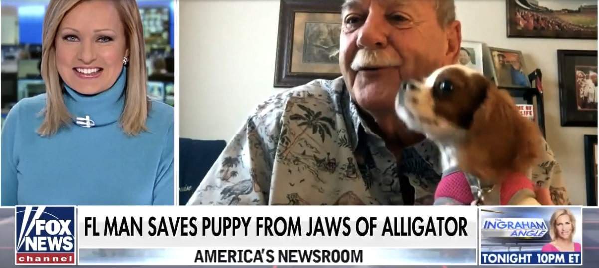 man and puppy he saved from alligator do interview